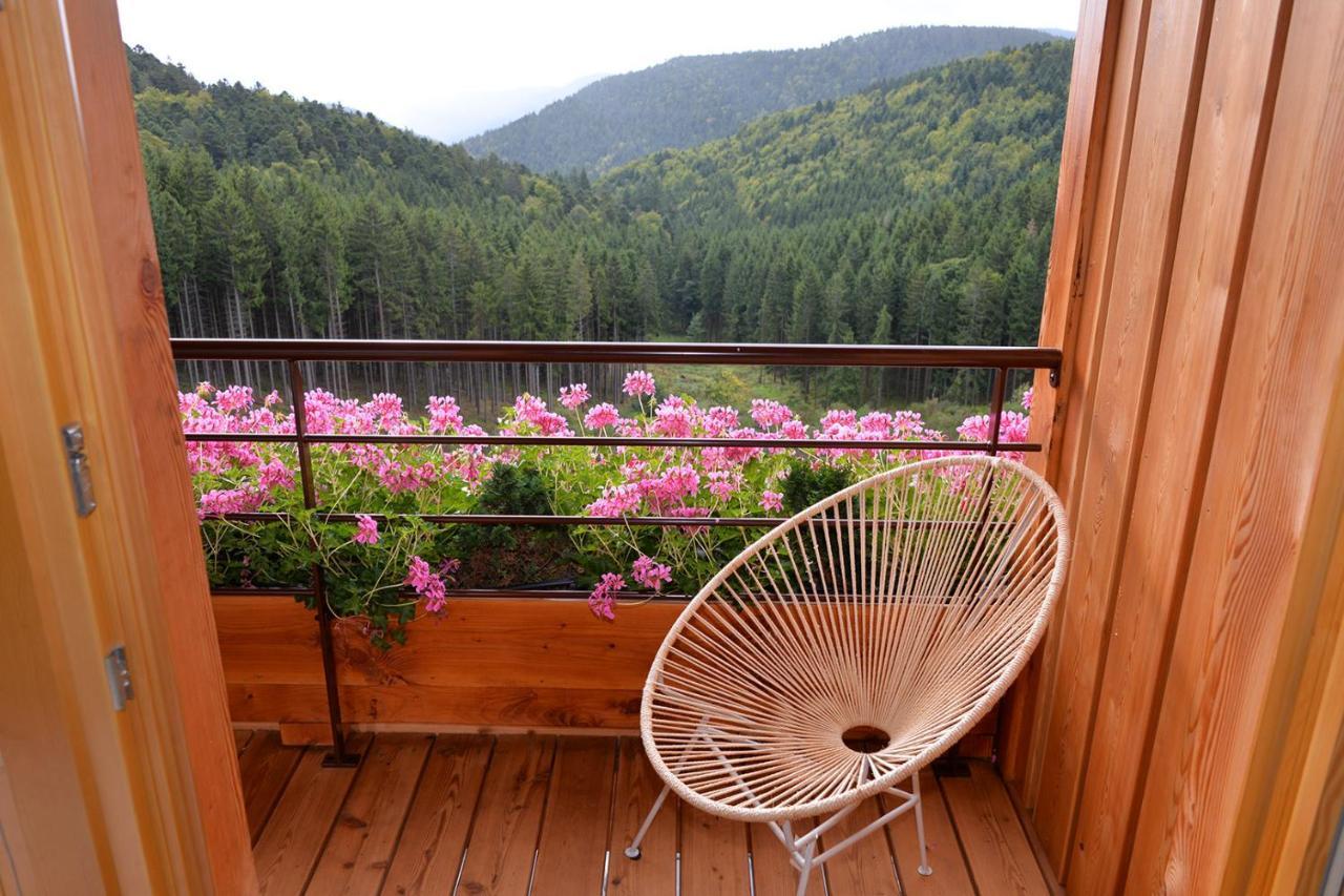 Les Gîtes d'Adelspach Gîtes&Spa en Alsace Aubure Exterior foto