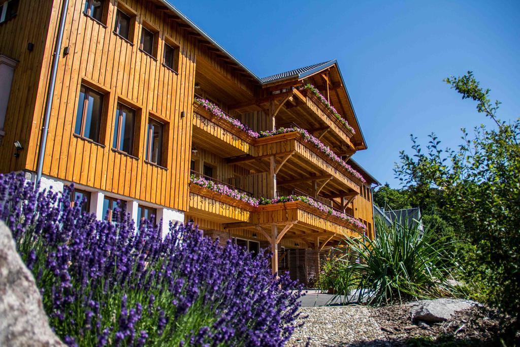 Les Gîtes d'Adelspach Gîtes&Spa en Alsace Aubure Exterior foto