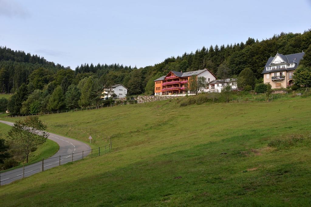 Les Gîtes d'Adelspach Gîtes&Spa en Alsace Aubure Exterior foto
