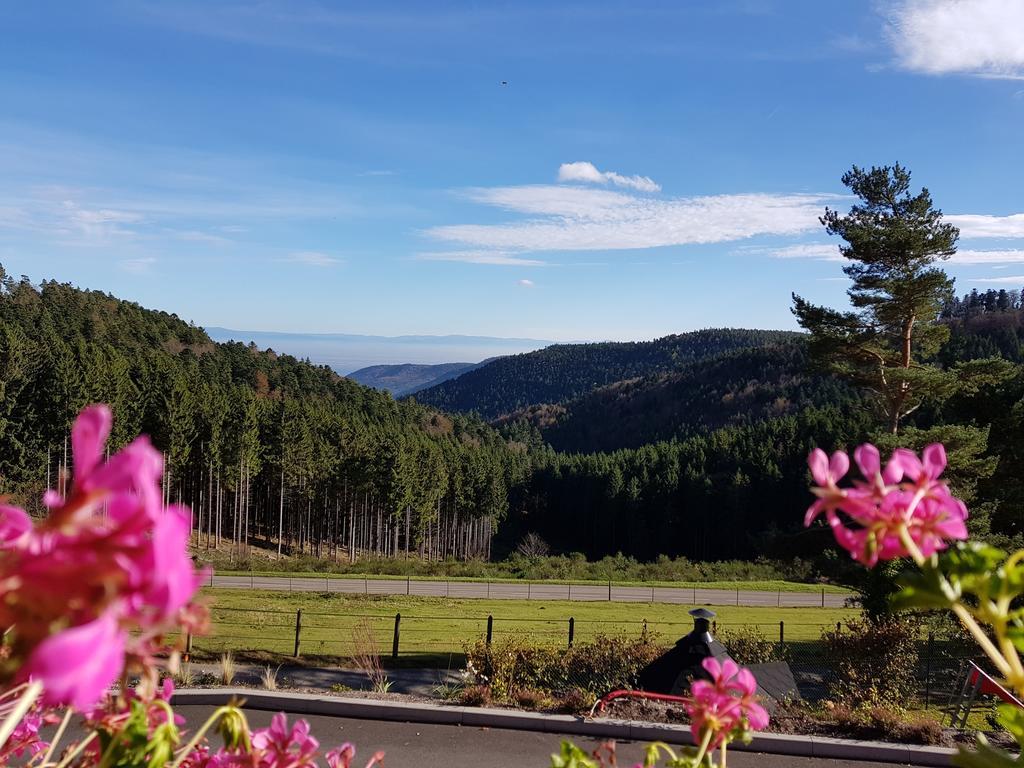 Les Gîtes d'Adelspach Gîtes&Spa en Alsace Aubure Exterior foto