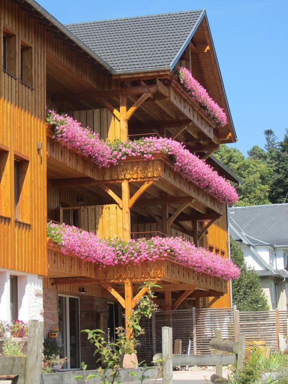 Les Gîtes d'Adelspach Gîtes&Spa en Alsace Aubure Exterior foto